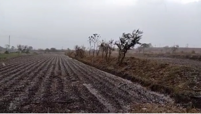 Kolhapur Rain | ग्रामीण भागात गारांचा पाऊस तर शहरात रिमझिम सरी