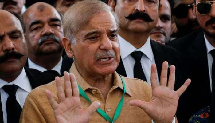 Pakistan पंतप्रधानपदाची शपथ घेण्याआधीच शाहबाज शरीफ यांचं काश्मीरबाबत मोठं वक्तव्य