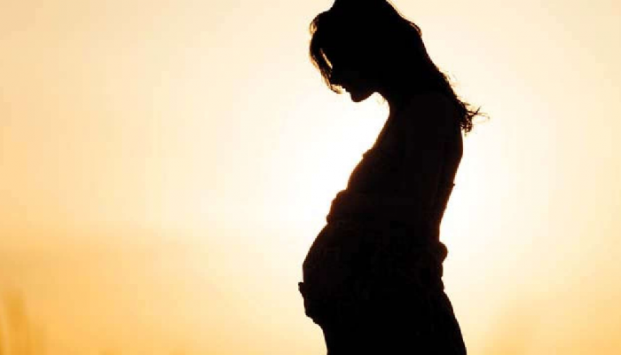 लग्नाआधीचं प्रसिद्ध दिग्दर्शकाकडून अभिनेत्री प्रेग्नेंट, अनेक वर्षांनंतर सत्य समोर