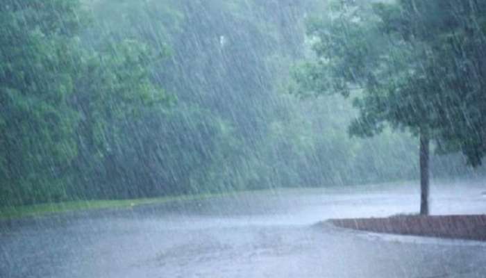 मान्सूनबाबत खूशखबर! यंदा राज्यात दमदार पाऊस होणार; IMD ने वर्तवला अंदाज
