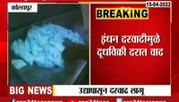 Video | गोळुळ दुधात उद्यापासून दर वाढ, पाहा किती रुपयांनी महागलं दूध