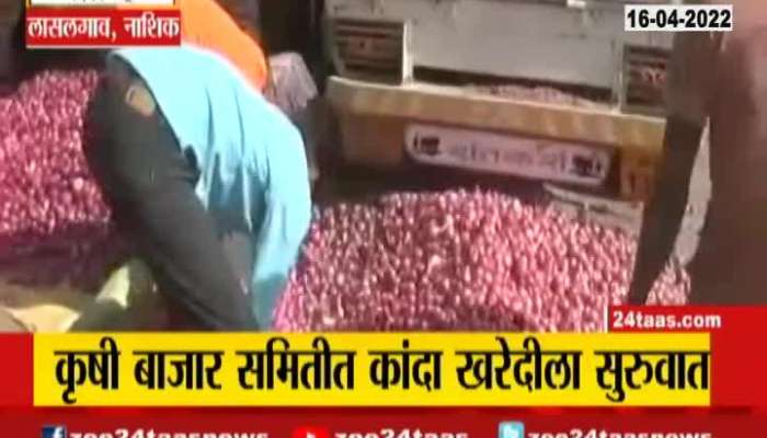  Nashik Lasalgaon Nafed Starts Purchasing Onion