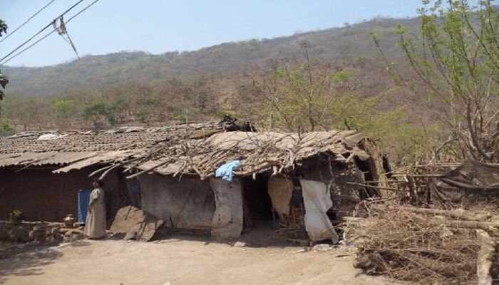 पुरोगामी महाराष्ट्रात दुर्दैवी प्रकार? डाकीण असल्याच्या संशयावरुन आदिवासी महिलेचा विवस्त्र करुन छळ