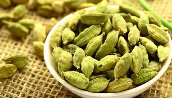 Cardamom Benefits : ब्लड प्रेशर कंट्रोल करते वेलची, अनेक आजारांपासून ठेवते दूर