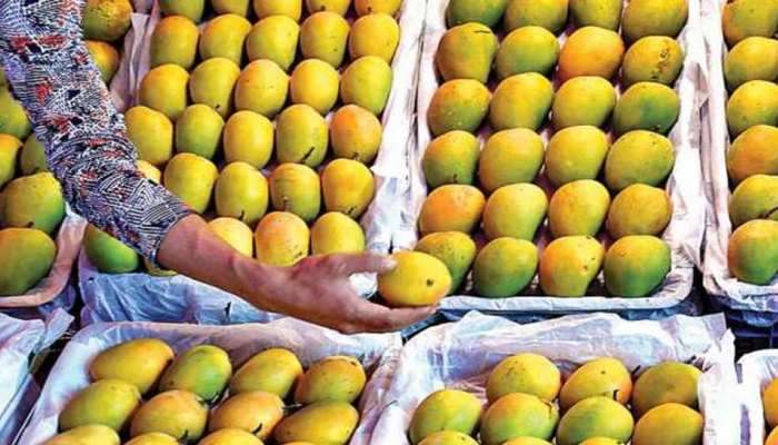 Mango Side Effects: आंबाप्रेमींनो आवडतं म्हणून जास्त खाऊ नका, होतात हे 5 दुष्परिणाम