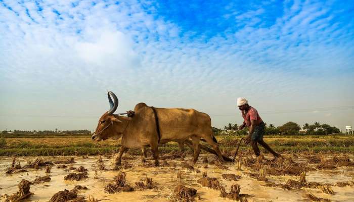 PM Kisan Samman Nidhi | &#039;या&#039; दिवशी येणार PM Kisan निधीचा 11 वा हप्ता