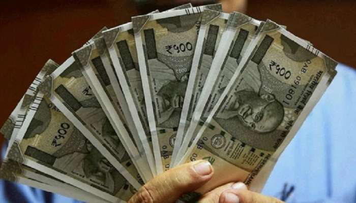 Business Idea | 50 हजार रुपयांमध्ये सुरू करा 'हा' व्यवसाय; अफाट कमाईची संधी