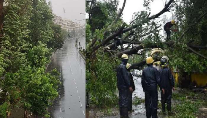 पुण्यात अवेळी पावसाचे तीन बळी, वडाचे झाड कोसळून दुर्दैवी मृत्यू