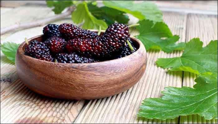 Mulberries Benefits: उन्हाळ्यात तुती खाण्याचे ५ मोठे फायदे