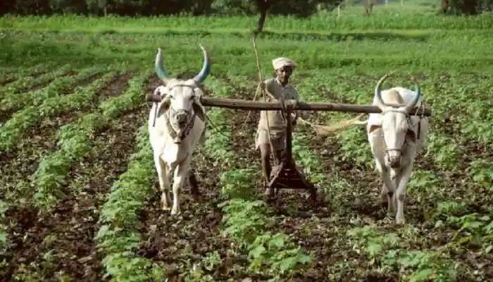 PM Kisan | योजनेच्या पात्र लाभार्थ्यांची यादी तयार; हे शेतकरी ठरतील अपात्र