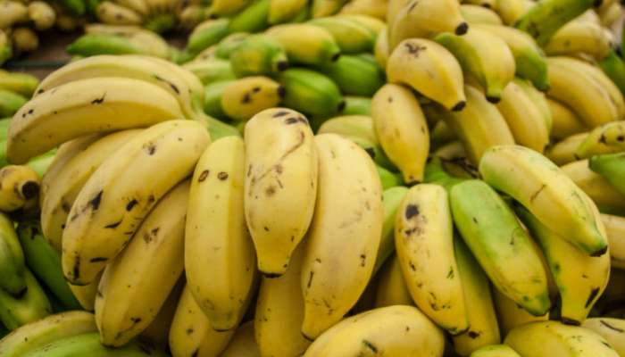 Banana Benifits : उन्हाळ्यात केळी खाण्याचे हे आहेत मोठे फायदे