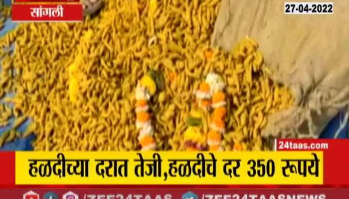 Sangli Turmeric Price Increased