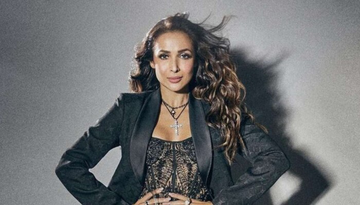 Malaika Arora अपघातानंतर दिसली &#039;या&#039; ठिकाणी, खास व्यक्तींकडून जंगी स्वागत