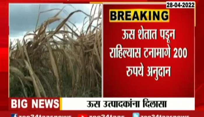 video : Preview for Minister Rajesh Tope On Extra Sugarcane In Farm Not A Problem.