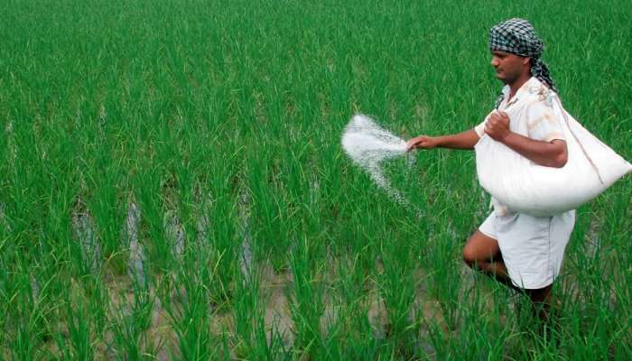 Fertilizer Subsidy | खतांच्या वाढत्या किंमतींच्या पार्श्वभूमीवर केंद्र सरकारचा मोठा निर्णय; शेतकऱ्यांना दिलासा