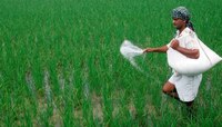 खतांच्या वाढत्या किंमतींच्या पार्श्वभूमीवर केंद्र सरकारचा मोठा निर्णय; शेतकऱ्यांना 