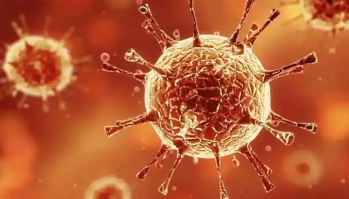 Coronavirus: अमेरिका कोरोनाच्या विळख्यातून मुक्त? तज्ज्ञांचा मोठा दावा