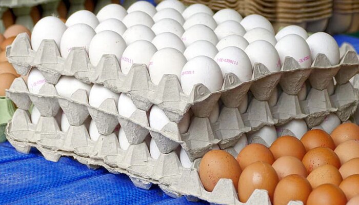 Fact Check | अंडं शाकाहारी की मांसाहारी?