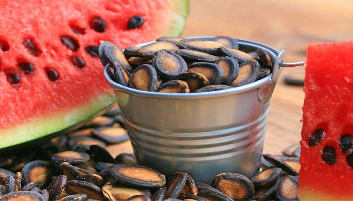 Watermelon Seed&#039;s Benefits : टरबुजाच्या बिया खाण्याचे अनेक आश्चर्यकारक फायदे