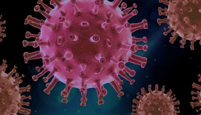 आणखी एक धोकादायक व्हायरसचा उद्रेक? अमेरिकेत आढळला पहिला रुग्ण