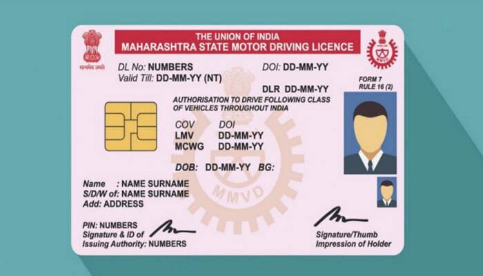 Driving License चे अनेक प्रकारचे असतात, तुमच्यासाठी कोणता योग्य? हे जाणून घ्या