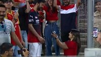 'IPL की वधूवर सूचक मेळावा...', तरुणीकडून LIVE मॅचमध्ये RCB फॅनला प्रपोज