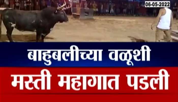 fact check in viral video of fire bull fight