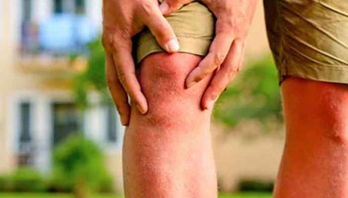 Knee Pain : गुडघेदुखीचा त्रास आहे, हे 5 पदार्थ खाल्ल्याने मिळेल आराम