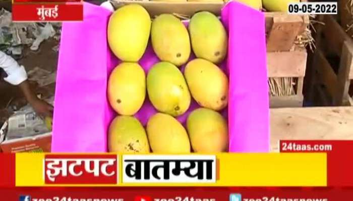 Alphanso Mango For Common Man