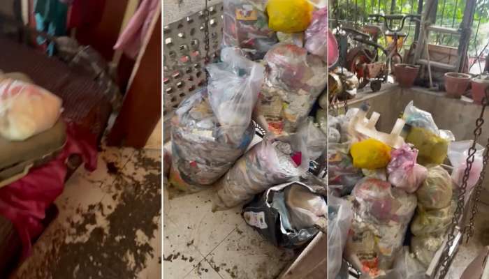 चिमुकल्याला 2 वर्षे 22 भटक्या कुत्र्यांसोबत ठेवणाऱ्या आई-वडिलांना अटक, घरात सापडला 10 बॅगा कचरा