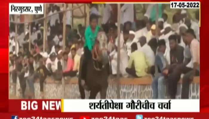 Girl Riding Horse At Bullock Cart Race Video Getting Viral