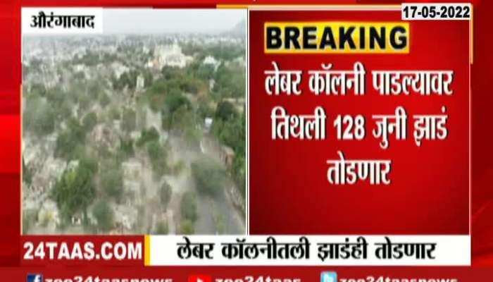 Aurangabad 128 Trees To Be Cut After Labour Colony Demolished