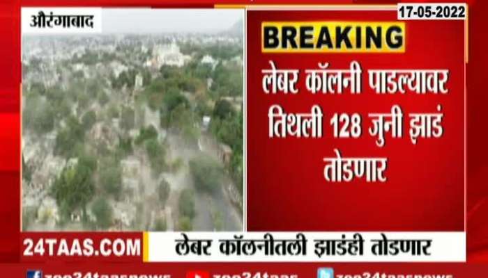 Aurangabad 128 Trees To Be Cut After Labour Colony Demolished Aurangabad 128 Trees To Be Cut After Labour Colony Demolished