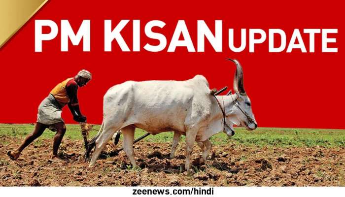 PM Kisan योजनेच्या लाभार्थ्यांसाठी मोठी बातमी; या तारखेला येणार शेतकऱ्यांच्या खात्यात पैसे