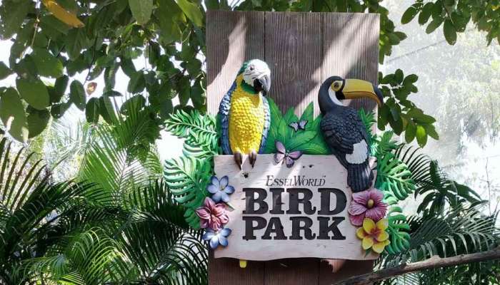  Essel World Bird Park Reopen | भारतातील पहिले विदेशी पक्षी उद्यान नागरिकांसाठी होणार खुले, 500 पक्ष्यांच्या प्रजातींना येणार पाहता 