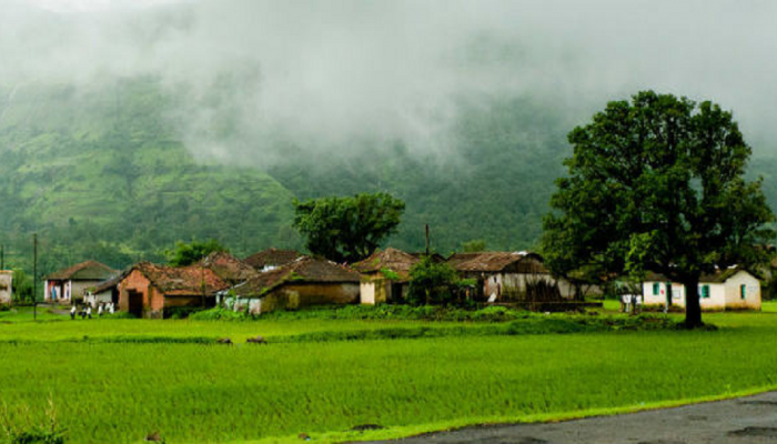 IMD Report | राज्यात लवकरच मान्सूनची दमदार एन्ट्री; काही जिल्ह्यांमध्ये मान्सूनपूर्व पावसाने झोडपले