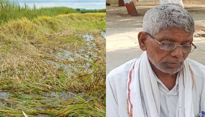 कुणी तरी त्याला मृत म्हणून दाखवला आणि सरकारी योजनेला तो असा मुकून बसला...  