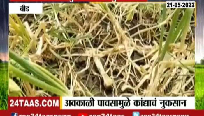 Beed Farmers In Problem As Onion Farm Damage From Pre Monsoon