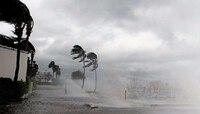 Weather Update: अतिमुसळधार पावसानं किनारपट्टी भागाला झोडपलं; IMD कडून Yellow Alert