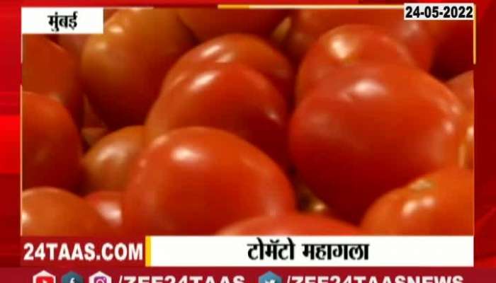 Mumbai Tomato 70 to 80 rs kg