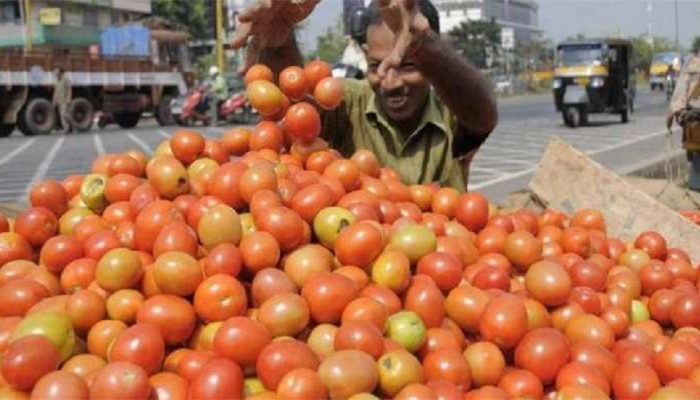 महागाईचा सर्वसामांन्याना दणका, टोमॅटोचे दर 70 रुपये ते 100 रुपयांच्या घरात