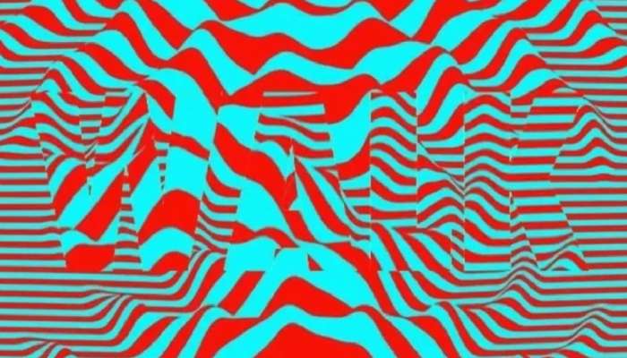 Optical Illusion:चित्रात दडलाय एक इंग्रजी शब्द, तुम्हाला दिसतोय का?