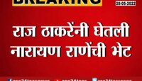 राज ठाकरेंनी घेतली नारायण राणेंची भेट