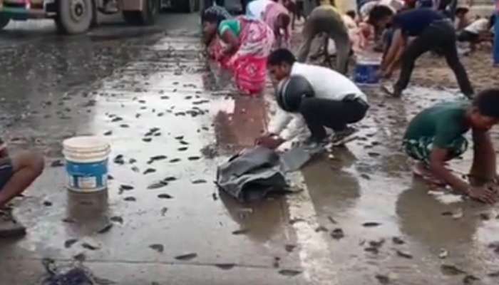 Fish Rain Video: आकाशातून पडला माशांचा पाऊस! काय आहे खरं कारण जाणून घ्या 