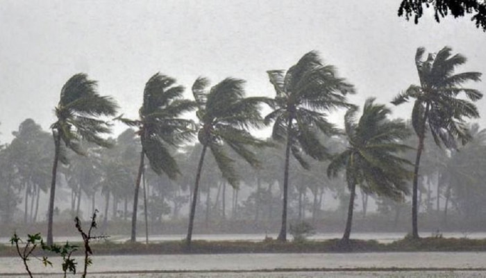 Weather Report | मान्सून अखेर केरळात दाखल; लवकरच महाराष्ट्रतही सरी...