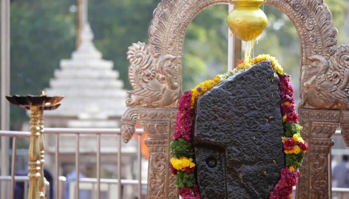 Shani Jayanti 2022: सुर्यास्ताच्या आधी करा 5 कामे, 30 वर्षांनंतर आलाय हा अद्भुत योग