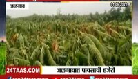 Video | राज्याला मान्सून पूर्व पावसानं झोडपलं; जळगावात झोपल्या केळीच्या बागा 