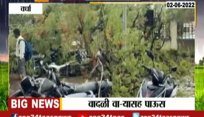 Trees fell due to torrential rains in Wardha