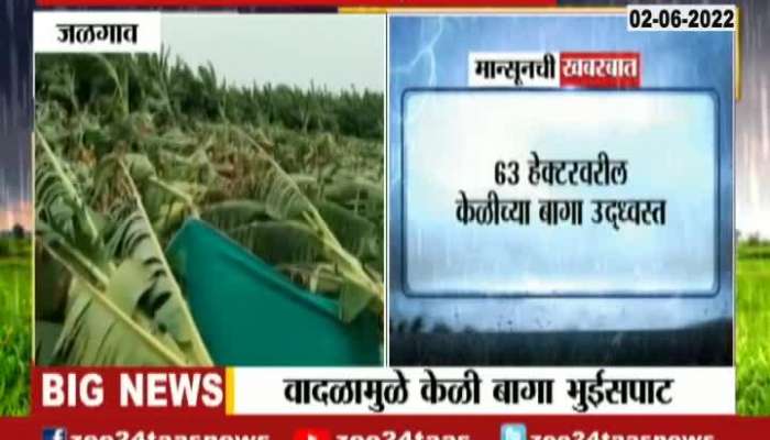 Jalgaon Pre Monsoon Damage Caused To Banana Farm