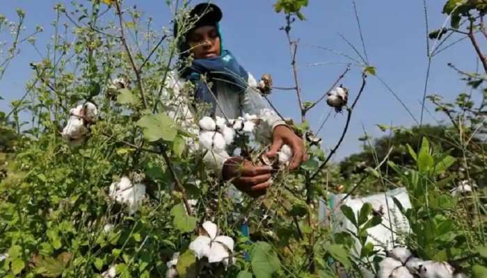 शेतकऱ्यांसाठी मोठी बातमी । महाविकास आघाडी सरकारने ही बंदी उठवली